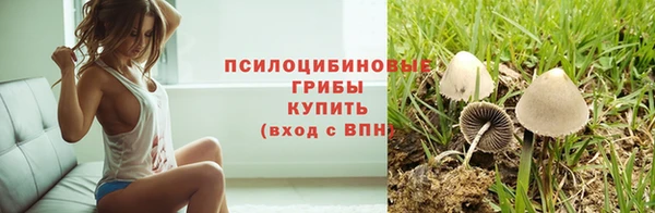 сатива Алексеевка