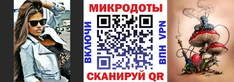 закладки  Зуевка  Псилоцибиновые грибы Psilocybe 
